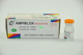 주입 250MG+250MG 항생제 약을 위한 암피실린 클록서실린 주입 250MG+250MG 항생제 약을 위한 암피실린 클록서실린