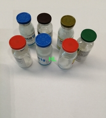 중국 주입 250MG+250MG 항생제 약을 위한 암피실린 클록서실린 협력 업체